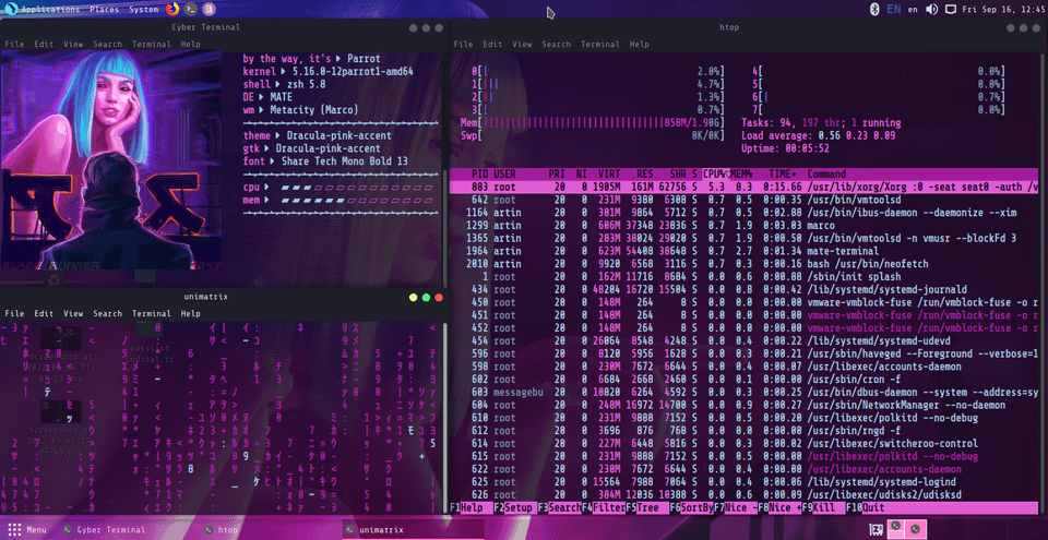 r/unixporn - [MATE] Blade runner theme for parrot after knowing how to use Linux, not like a dog